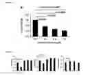 Fig. 09 - Aptamer-RNAi therapeutic compositions