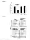 Fig. 13 - Aptamer-RNAi therapeutic compositions
