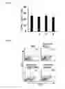 Fig. 14 - Aptamer-RNAi therapeutic compositions