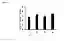 Fig. 15 - Aptamer-RNAi therapeutic compositions