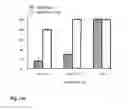 Fig. 19 - Synthetic lethality in cancer