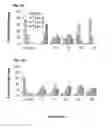 Fig. 23 - Synthetic lethality in cancer