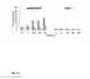Fig. 28 - Synthetic lethality in cancer