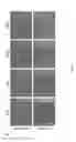 Fig. 05 - Compositions and methods for treating cancer