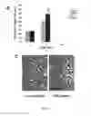 Fig. 06 - Compositions and methods for treating cancer