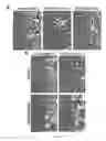 Fig. 07 - Compositions and methods for treating cancer