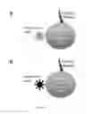 Fig. 26 - Compositions and methods for treating cancer
