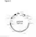 Fig. 02 - Agrobacterium bacterium to be used in plant transformation method