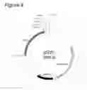 Fig. 05 - Agrobacterium bacterium to be used in plant transformation method