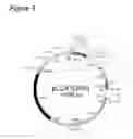 Fig. 09 - Agrobacterium bacterium to be used in plant transformation method