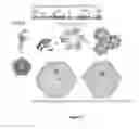 Fig. 02 - PRODUCTION OF BACTERIAL MICROCOMPARTMENTS IN EUKARYOTIC CELLS