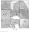 Fig. 13 - PRODUCTION OF BACTERIAL MICROCOMPARTMENTS IN EUKARYOTIC CELLS