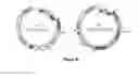 Fig. 17 - PRODUCTION OF BACTERIAL MICROCOMPARTMENTS IN EUKARYOTIC CELLS