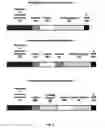Fig. 02 - Medicago truncatula gene-regulatory elements and uses thereof