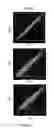 Fig. 03 - METHOD FOR SPEEDING UP PLANT GROWTH AND IMPROVING YIELD BY ALTERING EXPRESSION LEVELS OF KINASES AND PHOSPHATASES
