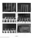 Fig. 06 - METHOD FOR SPEEDING UP PLANT GROWTH AND IMPROVING YIELD BY ALTERING EXPRESSION LEVELS OF KINASES AND PHOSPHATASES