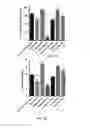 Fig. 05 - Materials and method for increasing a plant's resistance to stress