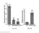 Fig. 07 - Materials and method for increasing a plant's resistance to stress