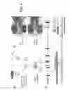 Fig. 07 - METHODS AND COMPOSITIONS FOR TARGETED GENE MODIFICATION