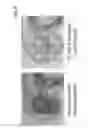 Fig. 10 - METHODS AND COMPOSITIONS FOR TARGETED GENE MODIFICATION