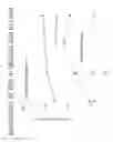 Fig. 69 - Tissue preferential codon modified expression cassettes, vectors containing same, and uses thereof