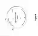 Fig. 10 - Microbial derived isoprene and methods for making the same