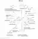 Fig. 05 - PROCESSING BIOMASS
