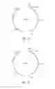 Fig. 06 - Clostridium cadaveris strain and uses of the same