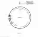 Fig. 10 - Method of random circular permutation by MuCP-ISC and MuCP-ISSC transposons