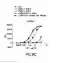 Fig. 12 - METHOD FOR PREPARING ANTIBODIES HAVING IMPROVED PROPERTIES