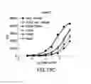 Fig. 19 - METHOD FOR PREPARING ANTIBODIES HAVING IMPROVED PROPERTIES