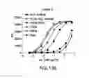 Fig. 21 - METHOD FOR PREPARING ANTIBODIES HAVING IMPROVED PROPERTIES