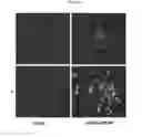 Fig. 05 - Compositions and methods for identifying enzyme and transport protein inhibitors