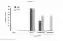 Fig. 31 - Compositions and methods for identifying enzyme and transport protein inhibitors