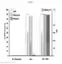 Fig. 35 - Compositions and methods for identifying enzyme and transport protein inhibitors
