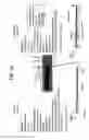 Fig. 15 - Recombinase polymerase amplification