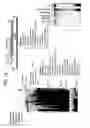 Fig. 20 - Recombinase polymerase amplification