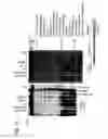 Fig. 21 - Recombinase polymerase amplification