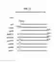 Fig. 26 - Recombinase polymerase amplification