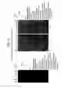 Fig. 31 - Recombinase polymerase amplification