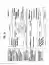 Fig. 32 - Recombinase polymerase amplification