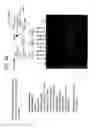 Fig. 35 - Recombinase polymerase amplification