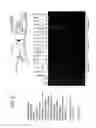 Fig. 36 - Recombinase polymerase amplification