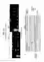 Fig. 47 - Recombinase polymerase amplification