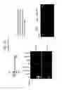 Fig. 57 - Recombinase polymerase amplification