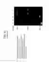 Fig. 58 - Recombinase polymerase amplification