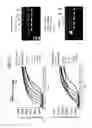 Fig. 60 - Recombinase polymerase amplification
