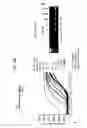 Fig. 61 - Recombinase polymerase amplification