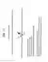 Fig. 76 - Recombinase polymerase amplification
