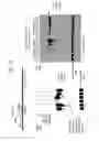 Fig. 80 - Recombinase polymerase amplification